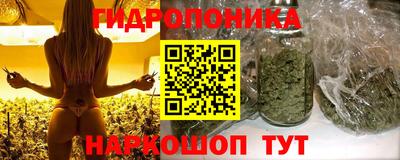 герыч Кингисепп