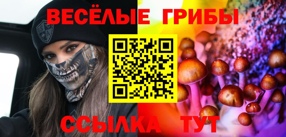 Псилоцибиновые грибы мицелий Краснотурьинск